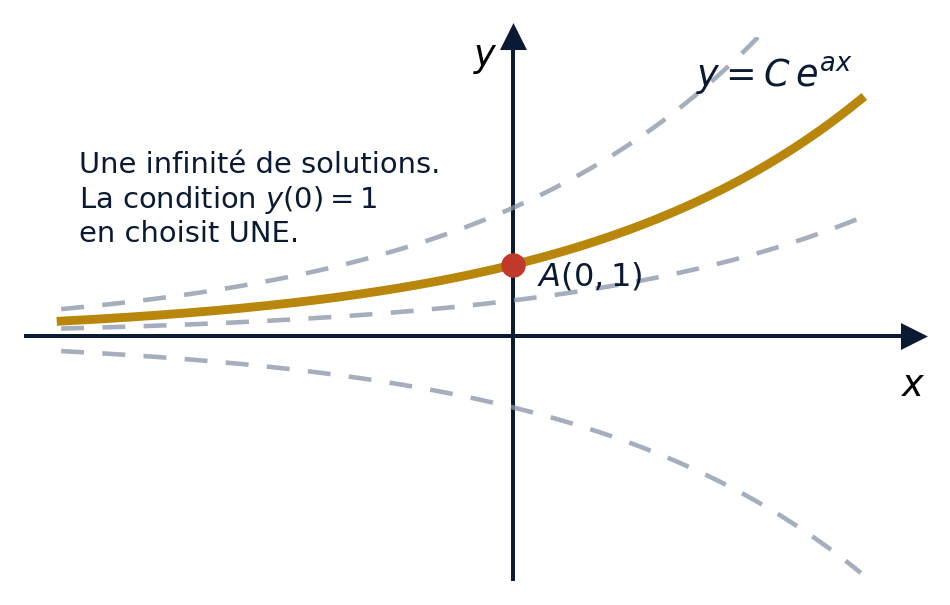 Famille des solutions de y'=ay, la condition initiale en sélectionne une